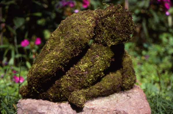 Sculpted figure in paperclay and moss Zoras Garden Lore Stephan